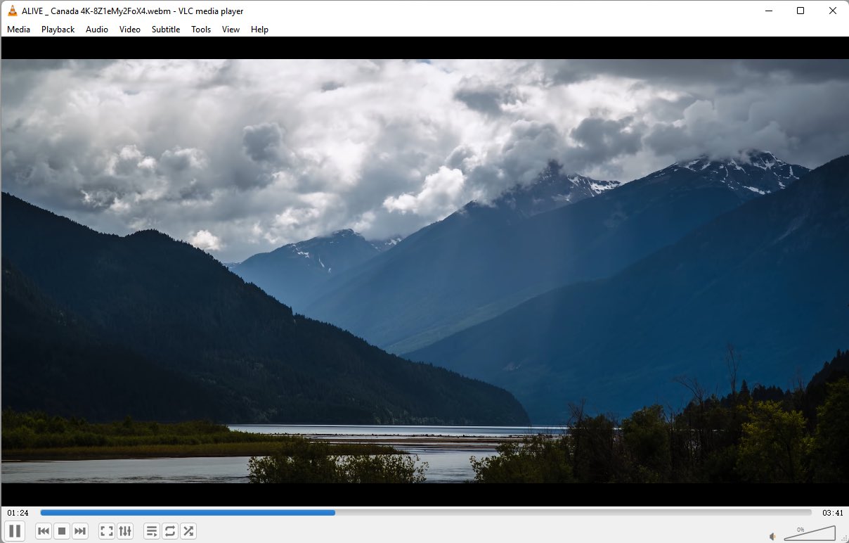 best video player for windows11 02