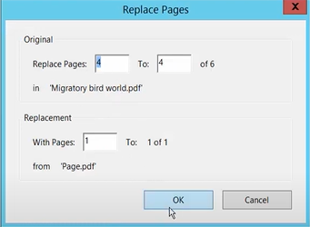 replace page adobe03