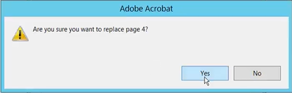 replace page adobe04