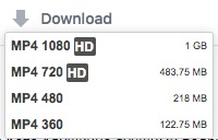 choose video quality to download
