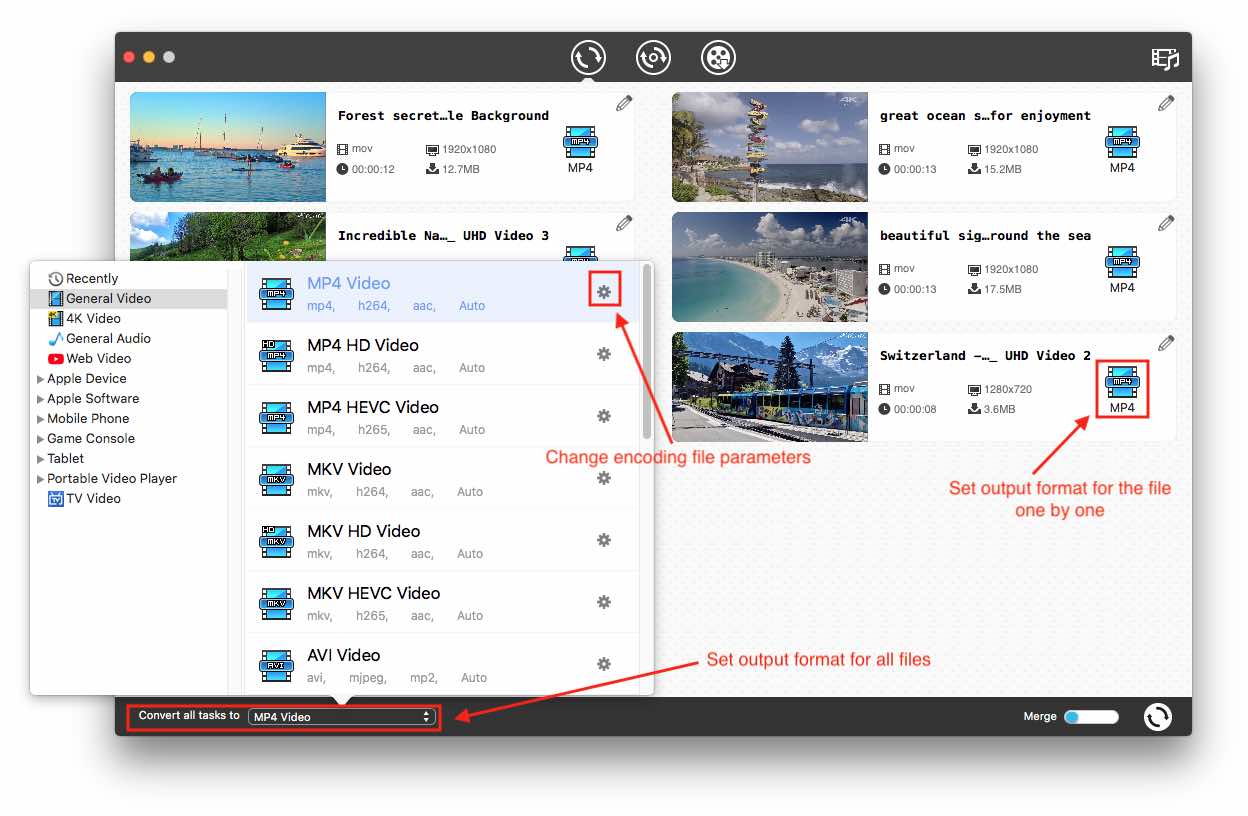using cisdem video converter 03
