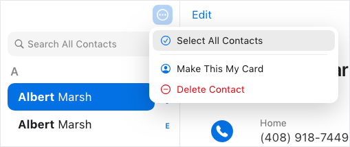 select a duplicate contact in iCloud to delete