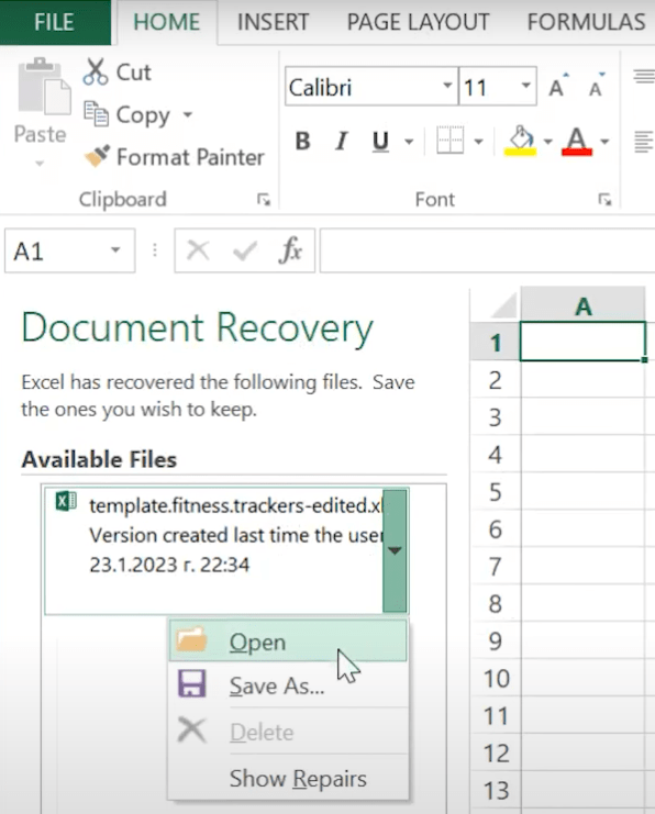 recover in document recovery 02