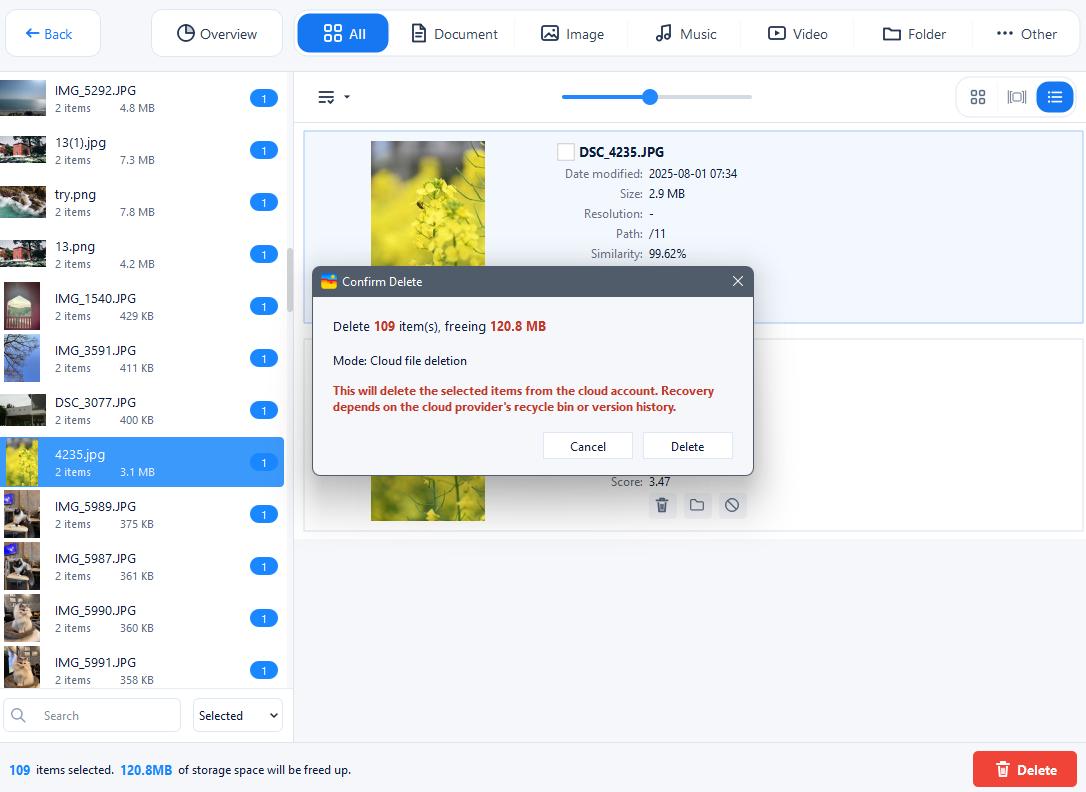 Confirm Delete dialog for selected Dropbox duplicates in Cloud file deletion mode