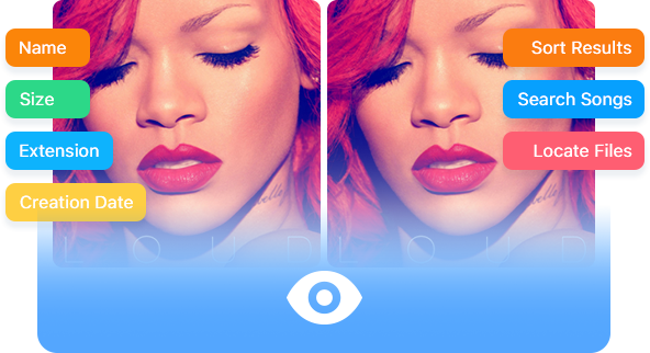 an image showing a set of duplicate songs, along with cover art and tags like Name, Size, Extension, and more
