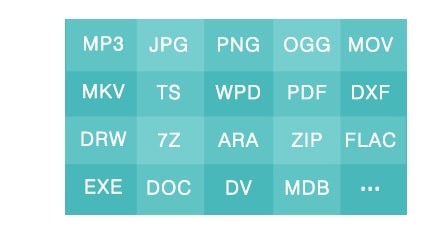 Data Recovery for Mac feature - 3