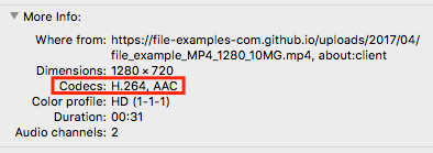check mp4 codec