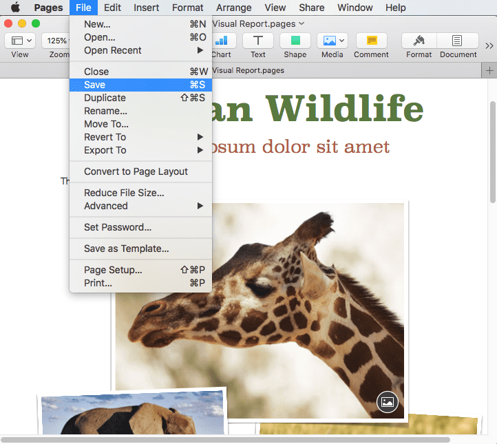convert word doc to pages for mac pictures missing convert word doc to pages for mac pictures missing