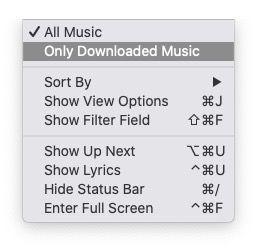 select Only Downloaded Music