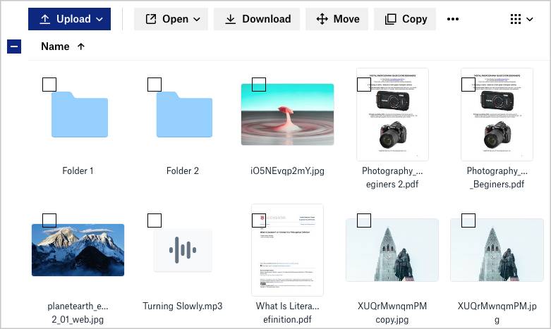 the duplicate files in Dropbox