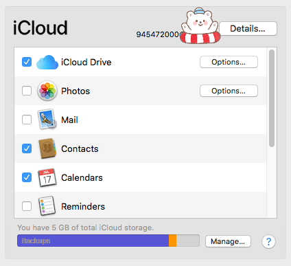 check icloud contacts