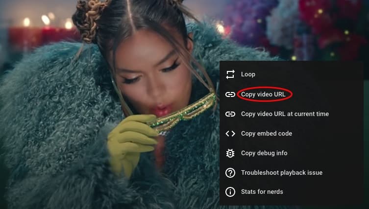 copy vevo url