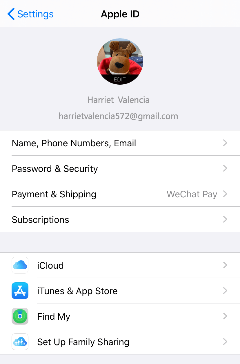 check apple account