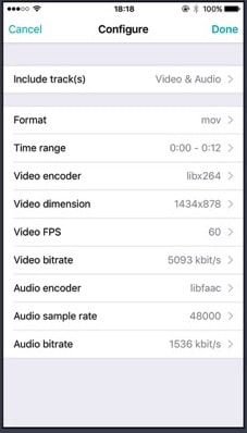 convert mpeg4 to mp4 iphone