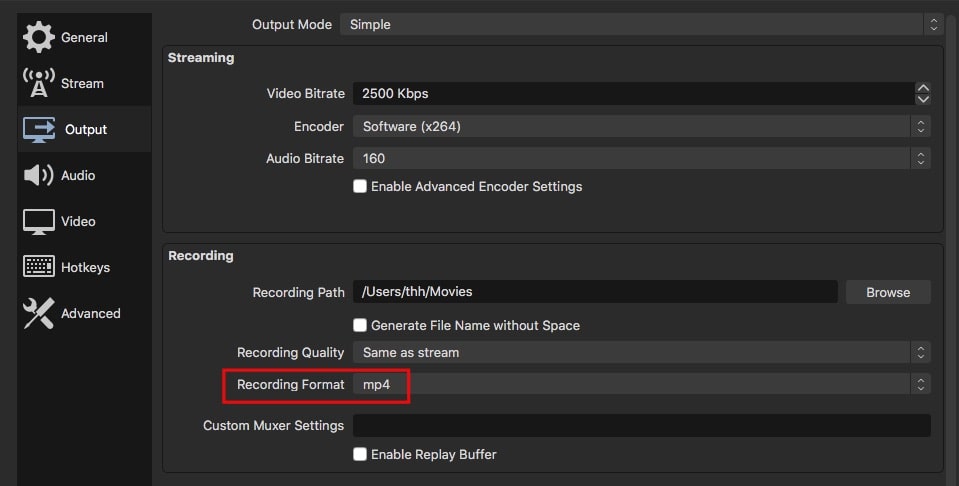 recording format obs