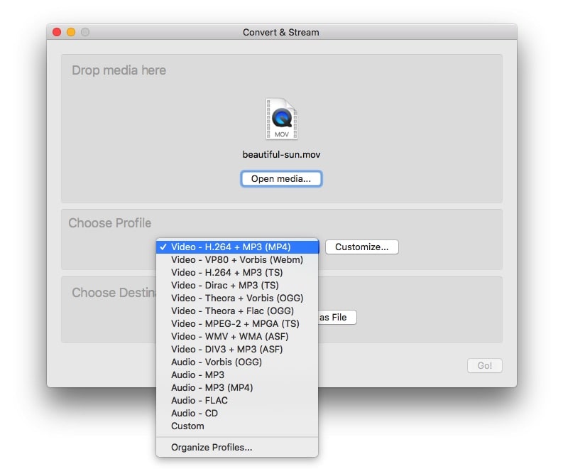 best mac video format converter