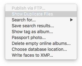 the Tools menu provides Show Duplicate Files, the built-in Picasa duplicate finder