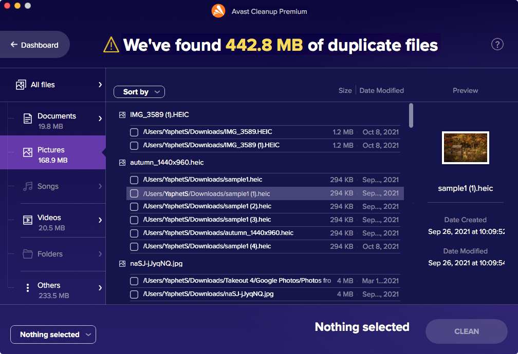 the results window displaying groups of duplicate pictures, documents and videos