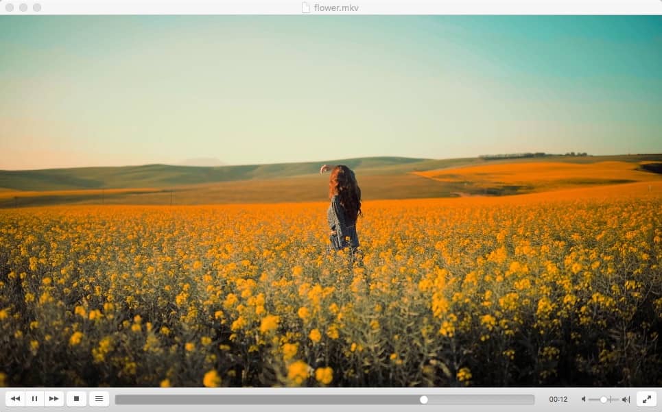 vlc mkv player for mac