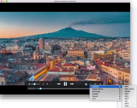 convert a file format via Cisdem Video Player