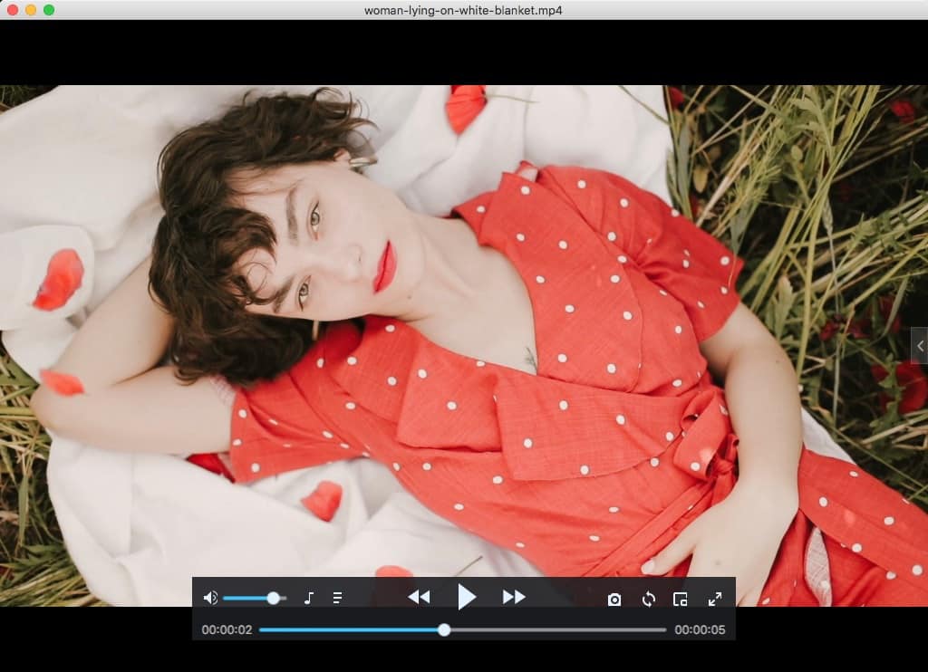 all format video player for mac
