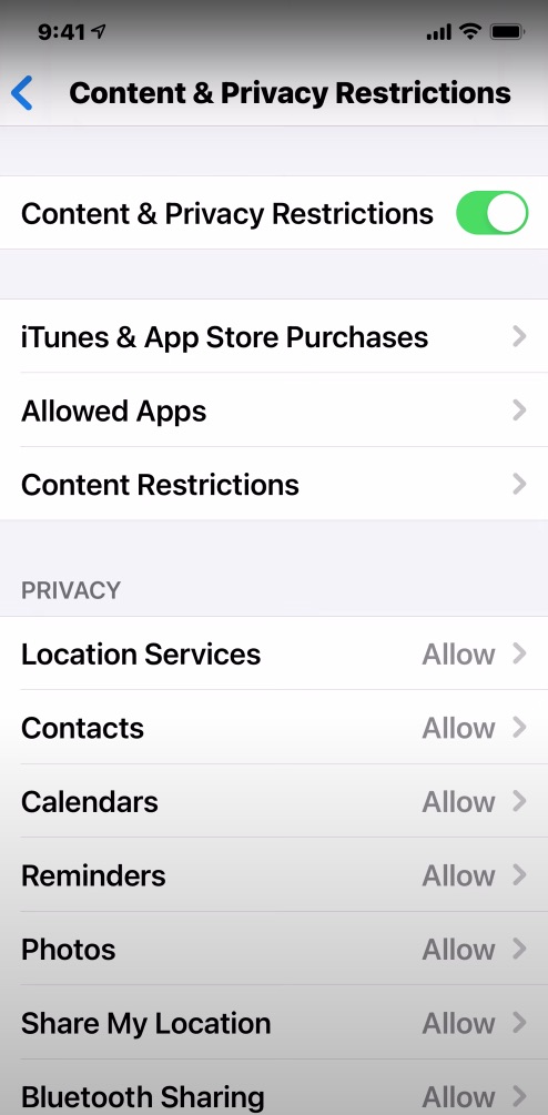 content and privacy restrictions