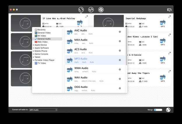 choose mp3 as output format