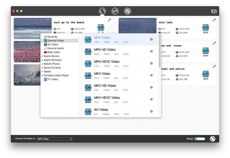 convert MVP and tiktok video into Mp4
