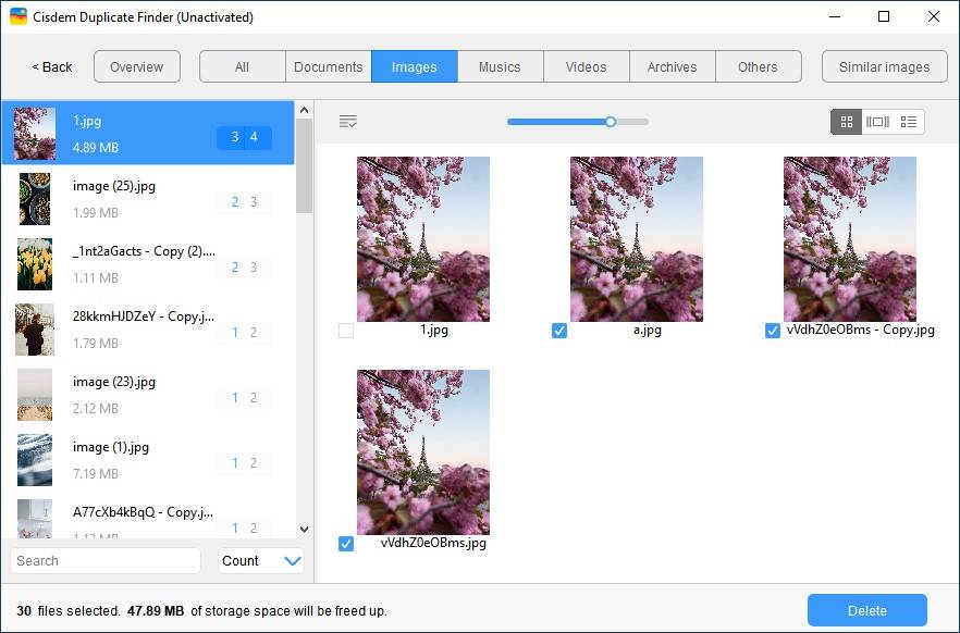 all the found duplicate files are displayed for view