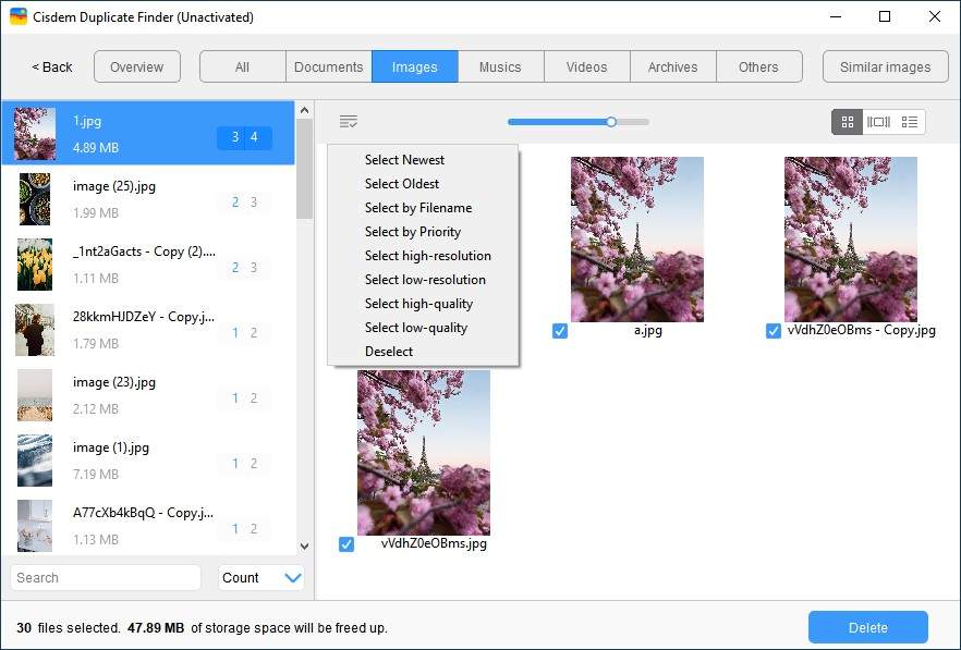Cisdem Duplicate Finder displaying selection rules