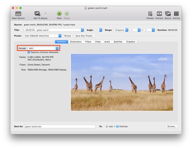 choose mkv with handbrake