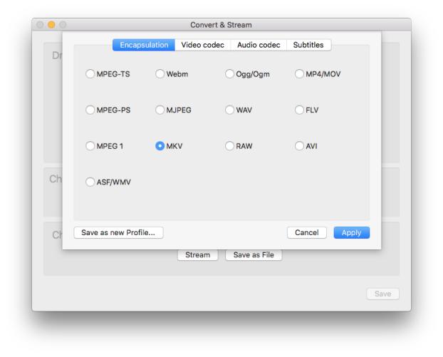 choose mkv as output format