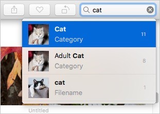 the word "cat" is typed in the search field
