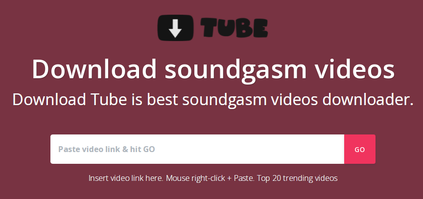 paste url via download.tube