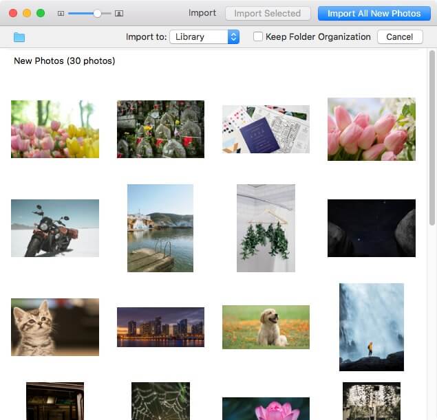 cliquez sur le bouton Import All New Photos pour fusionner les bibliothèques