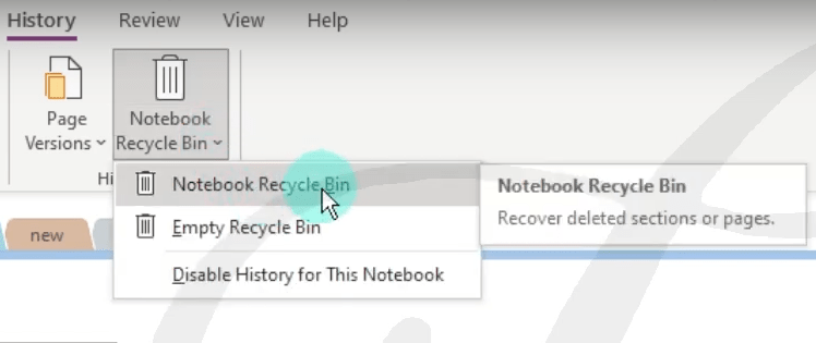 recover from recycle bin 01