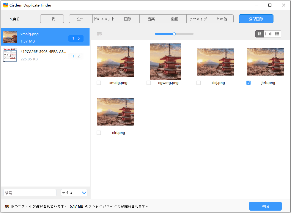 the Similar Images tab displaying near duplicate pictures