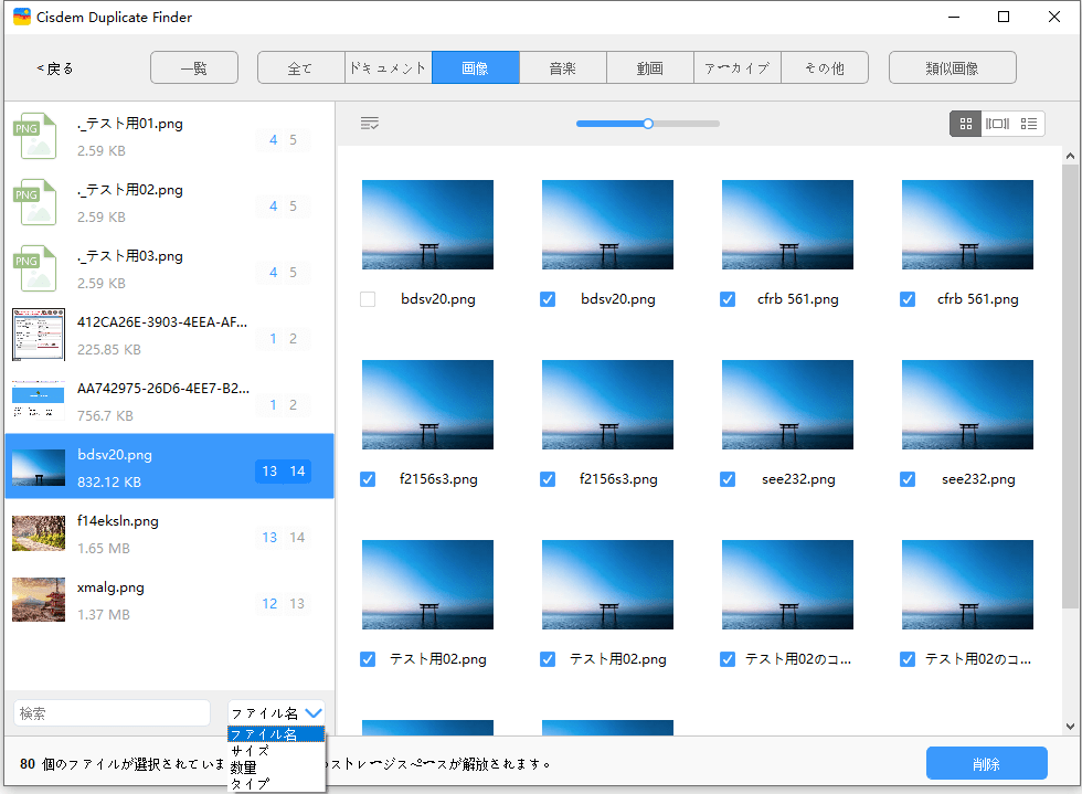 the Images tab displaying all the duplicate photos files that have been found