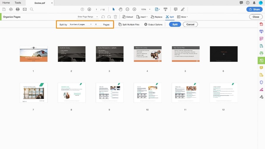 Splitting Multipage PDF by Page Ranges - FolderMill