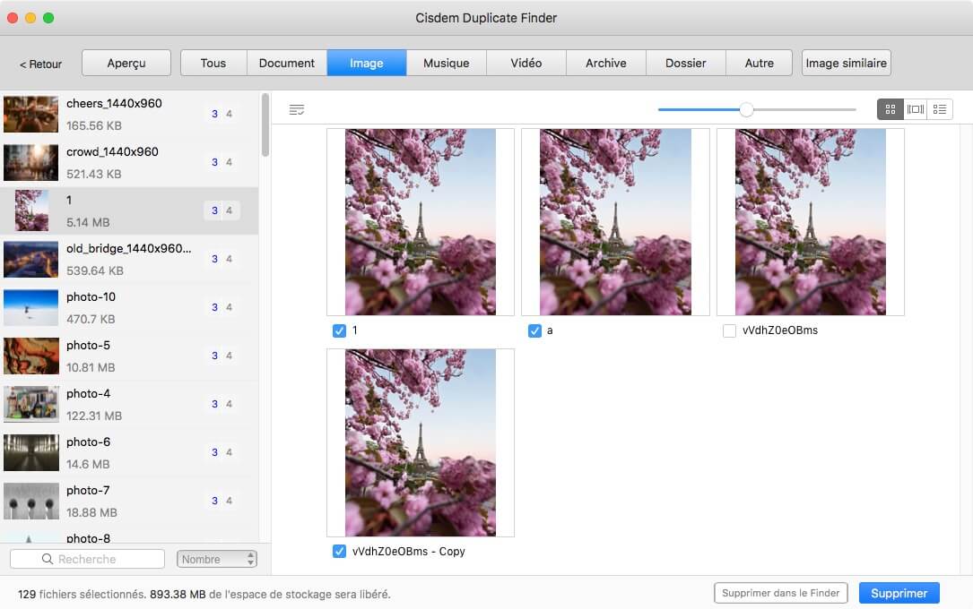 l'onglet Images affichant les photos en double trouvées
