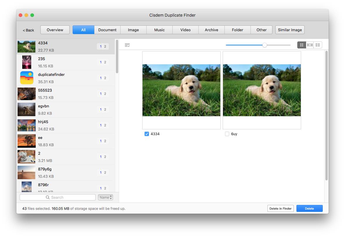 preview found iCloud duplicate photos