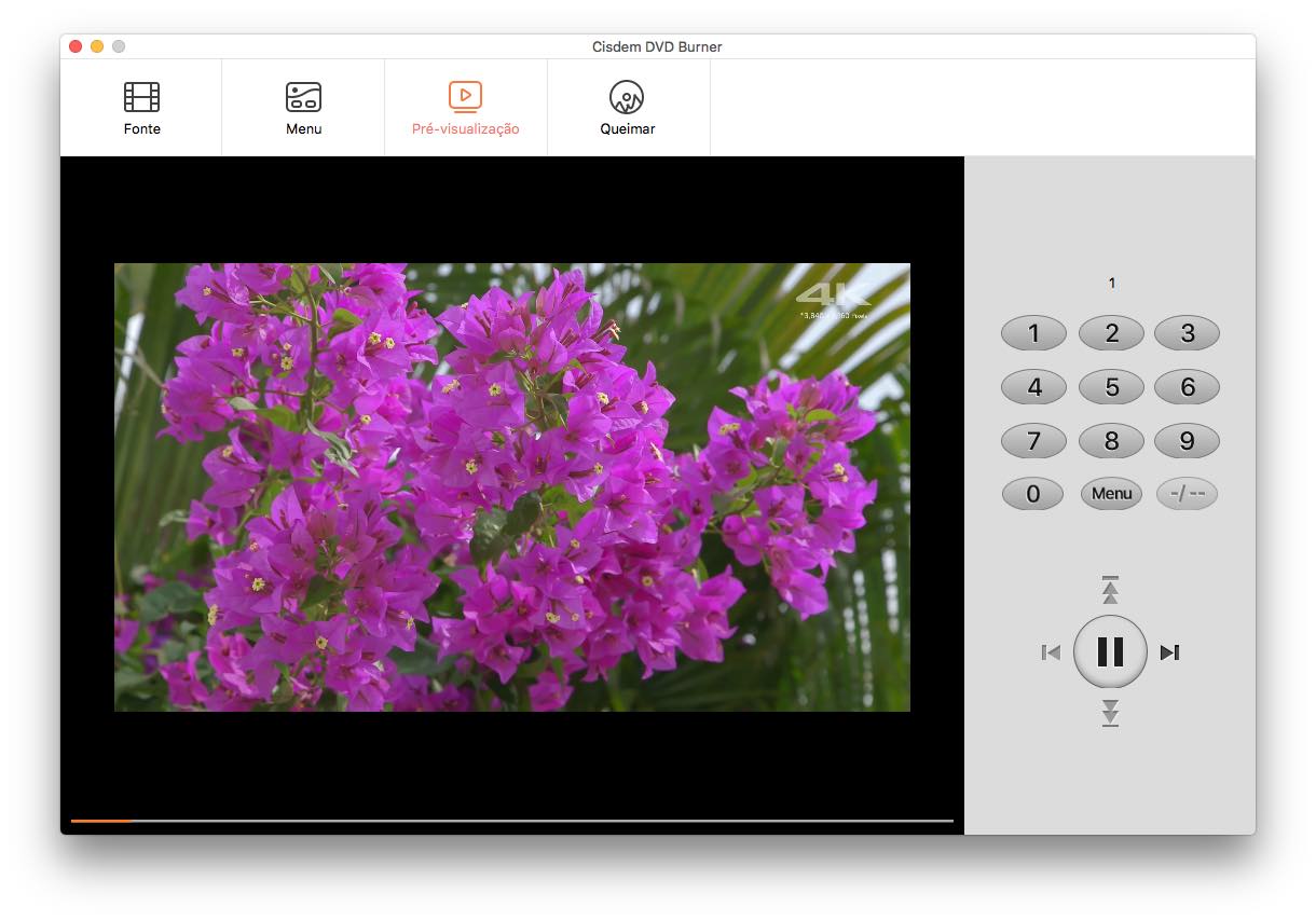 pré-visualizar vídeo dvd