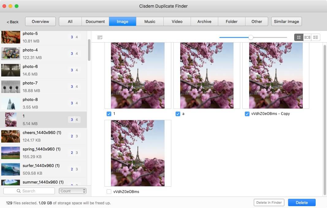 duplicate photo finder for Mac displaying the duplicate photos that it finds