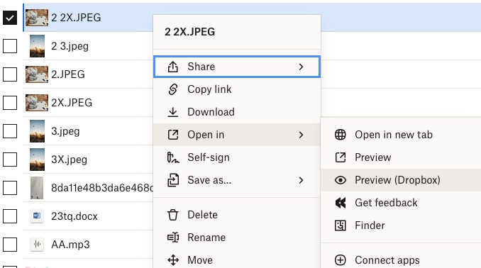 preview duplicates in Dropbox