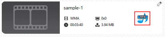 select a single output format cisdem