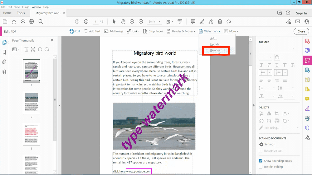remove watermark from pdf adobe2