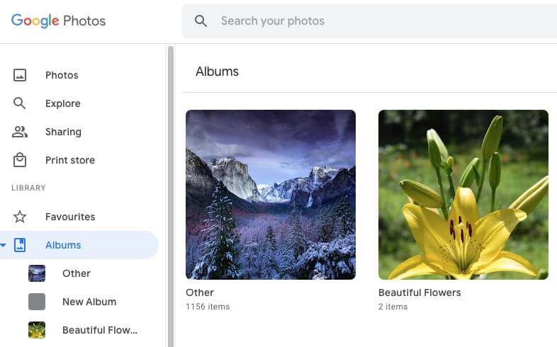 a new album is created in Google Photos