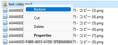 check recycle bin