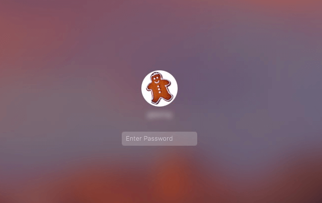 the screen of Mac is locked, asking for password