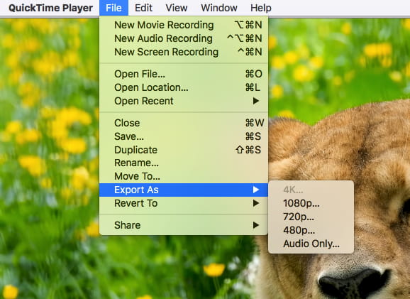 export video quicktime 10